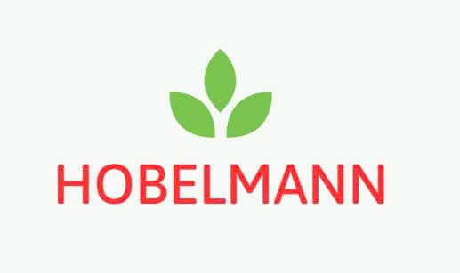 hobelmann.alpicointerntional.com